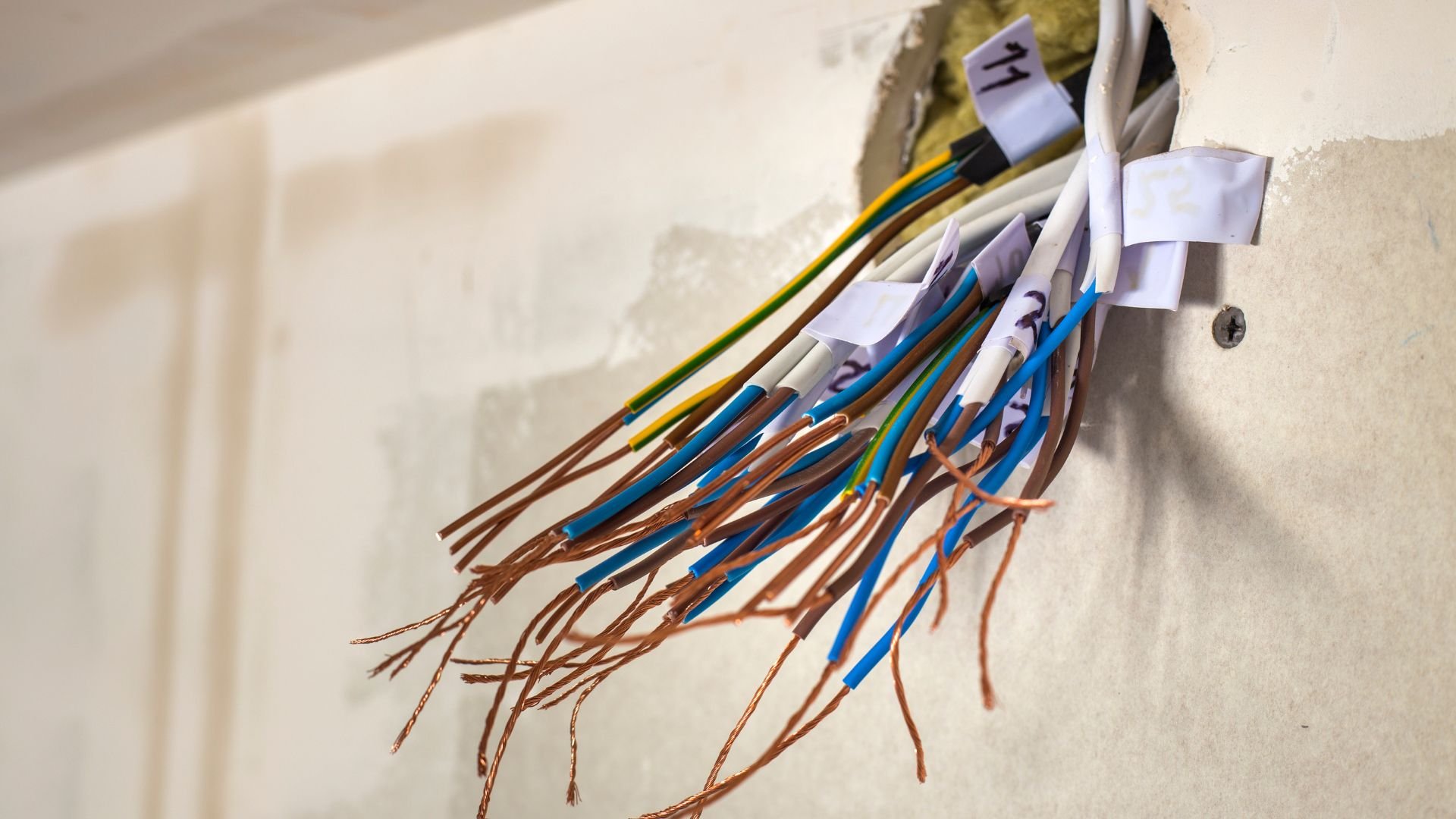 Exposed electrical wires with color-coded labels emerging from wall opening